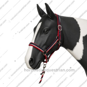 Horse Two Tone Halter