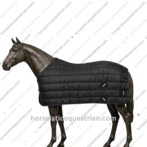 Horse Under Rug