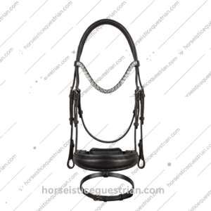 Horse Bridle