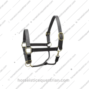 Horse Leather Halter