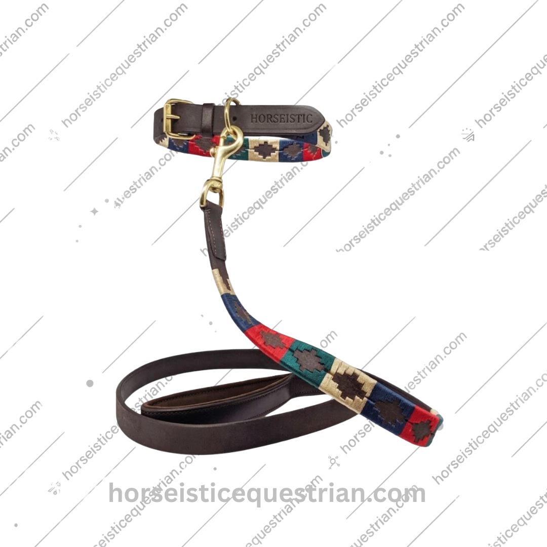 Polo Leather Collar & Lead Set - Image 2